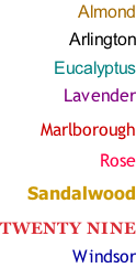 Almond  Arlington  Eucalyptus  Lavender  Marlborough  Rose  Sandalwood  TWENTY NINE  Windsor