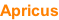 Apricus